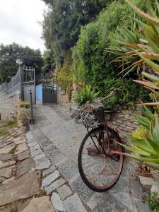 Jazda na bicykli v okolí ubytovania Ca dell'acciuga
