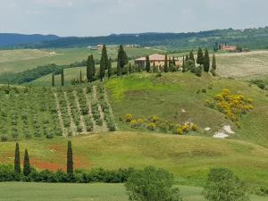 Gallery image ng Apartment La Scala 1572 sa San Quirico dʼOrcia