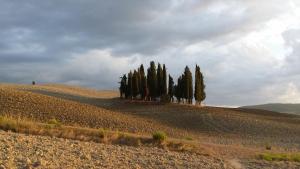 Paesaggio naturale nelle vicinanze dell'affittacamere