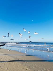 Gallery image of Ania in Ustka