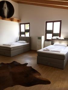 two beds in a room with two windows at LaVita in Lengerich