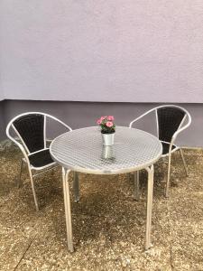 a table and two chairs with a potted plant on it at Modernes Zimmer mit Küchenzeile und Bad in Groß Denkte