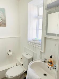 a white bathroom with a toilet and a sink at Cambrian House in Llangollen