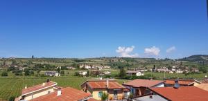 a small town with a bunch of houses and vineyards at A casa di Mery in Negrar
