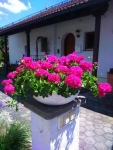 a pot of pink flowers sitting on top of a house at Haus Säntisblick in Eriskirch
