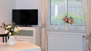 TV a/nebo společenská místnost v ubytování Penzion Pohoda Sokolov