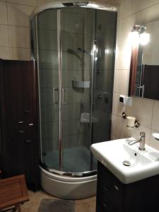 La salle de bains est pourvue d'une douche et d'un lavabo. dans l'établissement Apartament Przytulny, à Karwia