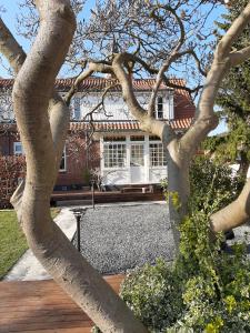 a tree in front of a house at Holsteinshus B&B in Odder