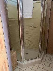 a shower with a glass door in a bathroom at Hotel St Nicholas in Cripple Creek