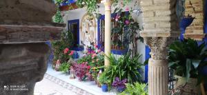 A garden outside Alojamiento casa típica de Córdoba