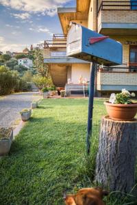 a dog laying on the grass next to a bird house at Affittacamere Le Petit Palais in Castiglione del Lago