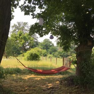Zahrada ubytování Pasterhof Eichhorst