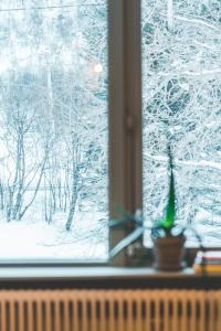 a window with a view of a snow covered forest at FURU Hostel & Café in Bøstad