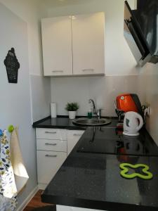 a kitchen with a sink and a counter top at Apartament Parkowy Rabka in Rabka-Zdrój