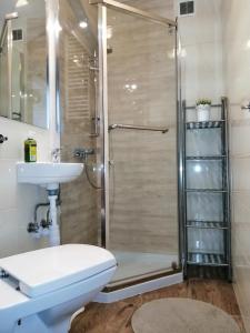 a bathroom with a shower and a toilet and a sink at Apartament Parkowy Rabka in Rabka-Zdrój