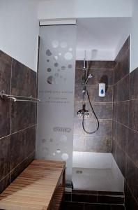 y baño con ducha y puerta de cristal. en Old Fane's Lodge, en Măraşu