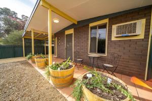 HawkerFlinders Ranges Bed and Breakfast的房屋内带盆子和椅子的庭院