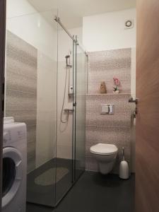 een badkamer met een douche, een toilet en een wastafel bij Petra apartment in Zadar
