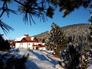 a house on a snow covered hill with trees at Apartmani Suncani breg Tara in Mitrovac