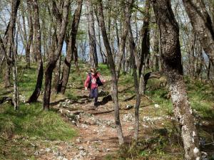 Una ragazza che cammina su un sentiero nel bosco di Apartmani Suncani breg Tara a Mitrovac