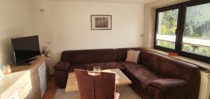 a living room with a brown couch and a tv at Haus am Koiteich in Plau am See