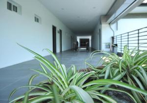 Φωτογραφία από το άλμπουμ του Happy Guesthouse σε Xiaoliuqiu