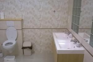 Koupelna v ubytování Byt Kněžice u Vrchlabí