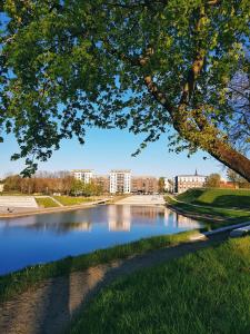 a lake in a park with buildings in the background at No.1 Apartment Link-To-Happiness in Klaipėda