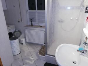 een badkamer met een douche, een wastafel en een toilet bij Ferienwohnung Eifelgold Esch in Esch