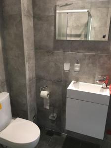 a bathroom with a toilet and a sink and a mirror at Villa Bulli in Zatoka +18 photos
