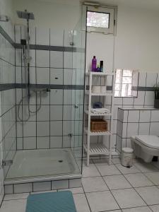 a bathroom with a shower and a toilet and a sink at Lüttje Heide-Huus in Soltau +15 photos