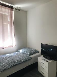 a bedroom with a bed and a flat screen tv at Hotel Kotva in Hřensko