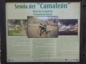 Fotografia z galérie ubytovania Edificio Santana II v destinácii Isla Cristina
