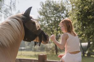 a girl is petting the head of a horse at #Glamping@De Verloren Sinjoor in Bladel