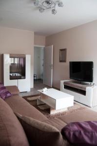 un soggiorno con divano e TV di Central Apartment with boulevard view a Niš