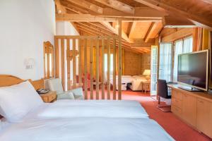 Телевізор і / або розважальний центр в Hotel Berghof Amaranth