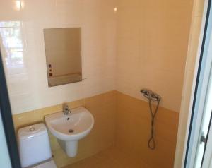 a bathroom with a sink and a mirror and a toilet at Villa Lina in Karolino-Buhaz