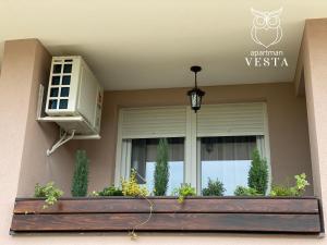 a window with a planter in front of a building at VESTA Apartman in Sremska Mitrovica