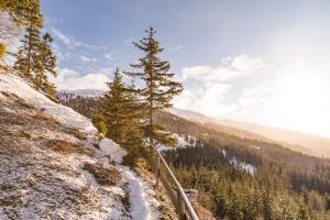 a tree on the side of a mountain with snow at Hüttentraum Katschberg in Katschberghöhe