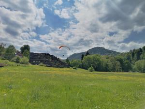 a person is flying a kite in a field at Appartement Herrlich in Bad Wildbad