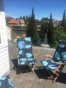 Zoeterwoude的住宿－Luc's Place, jaccuzi, waterbed，两把椅子放在庭院,上面有蓝色的花朵