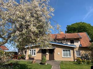 a house with a flowering tree in front of it at Baltas apartamentas in Juodkrantė