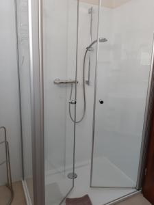 y baño con ducha y puerta de cristal. en Fewo Judith en Balesfeld