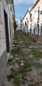 The surrounding neighborhood or a neighborhood close to the holiday home