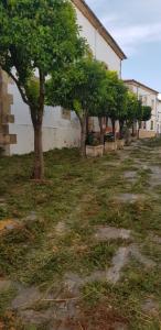 A garden outside Casita de Rosario