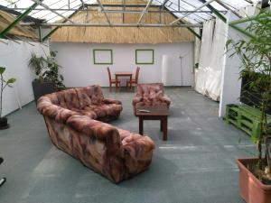 Posedenie v ubytovaní Rastlinky.sk Greenhouse Guestrooms