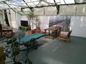 Televízia a/alebo spoločenská miestnosť v ubytovaní Rastlinky.sk Greenhouse Guestrooms