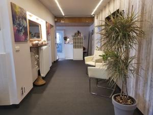 a hallway with chairs and potted plants in a room at Haus am Kurpark Hotel Garni in Bad Steben