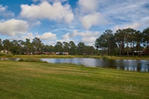 a large pond with grass and trees in a park at Exclusive Apartments Lisbon - Charneca de Caparica in Charneca