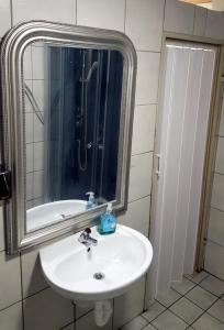 ein Bad mit einem Waschbecken, einem Spiegel und einer Dusche in der Unterkunft Neo Event Hall room Neo1 in Staufenberg
